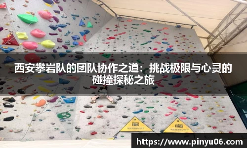 zoty中欧
