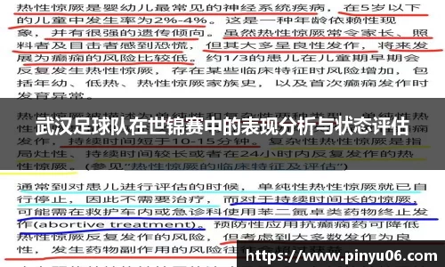 武汉足球队在世锦赛中的表现分析与状态评估