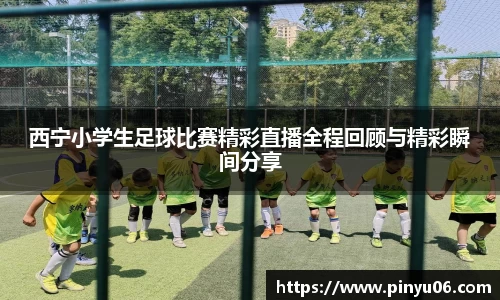 zoty中欧